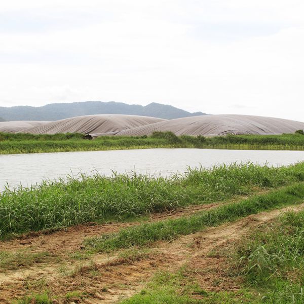 Chol Charoen Wastewater Treatment