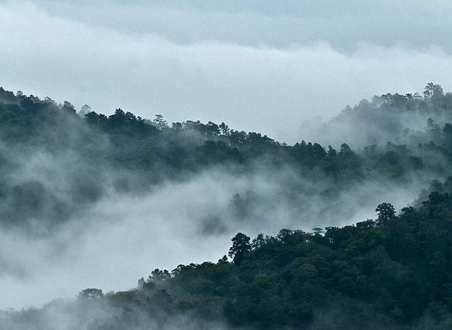 Defining the standard: Understanding the three pillars of the EU Carbon Removal Certification Framework