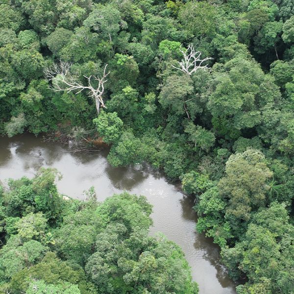 Predio Putumayo Indigenous Reserve