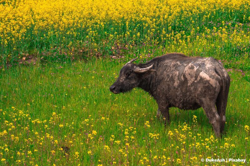 From Abstract to Action: How the SDGs Can Help Businesses and Vice Versa