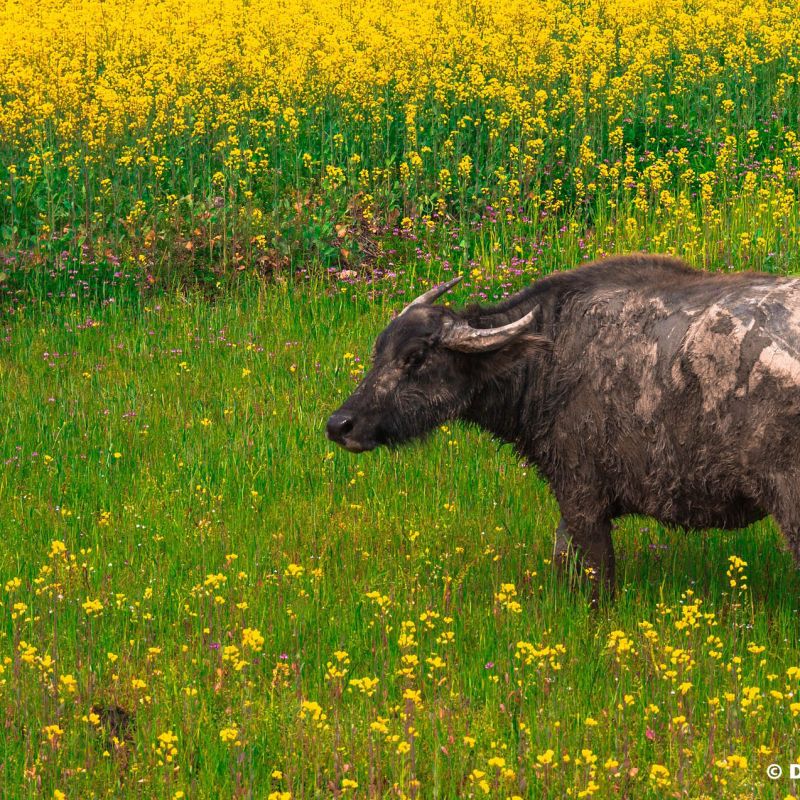 From Abstract to Action: How the SDGs Can Help Businesses and Vice Versa