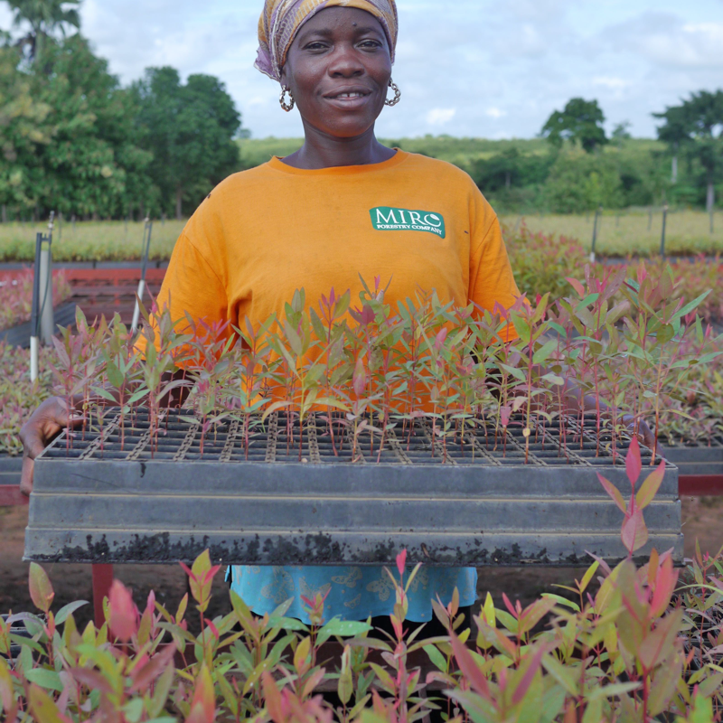 Empowering Women, Empowering a Sustainable Society – Working Towards Results-Based Solutions