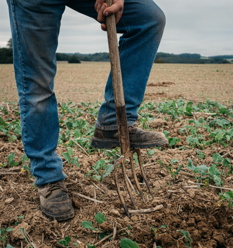 European Soil Revitalization Programme