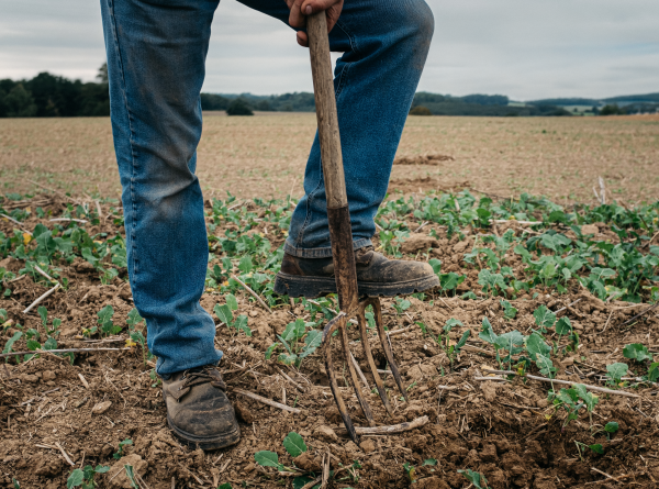 European Soil Revitalisation Programme
