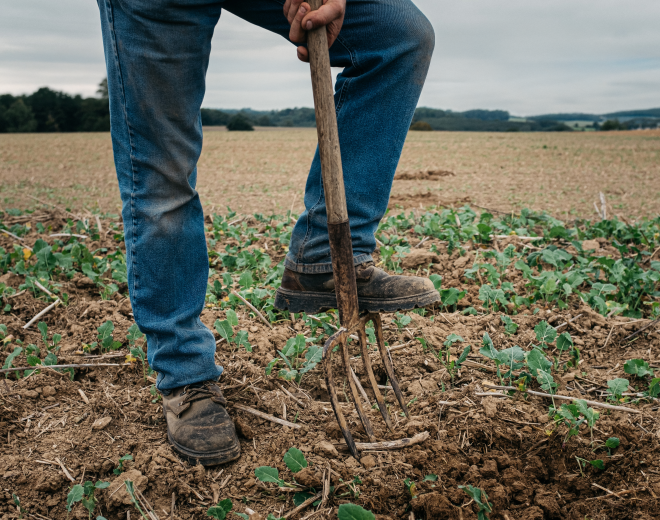European Soil Revitalization Programme
