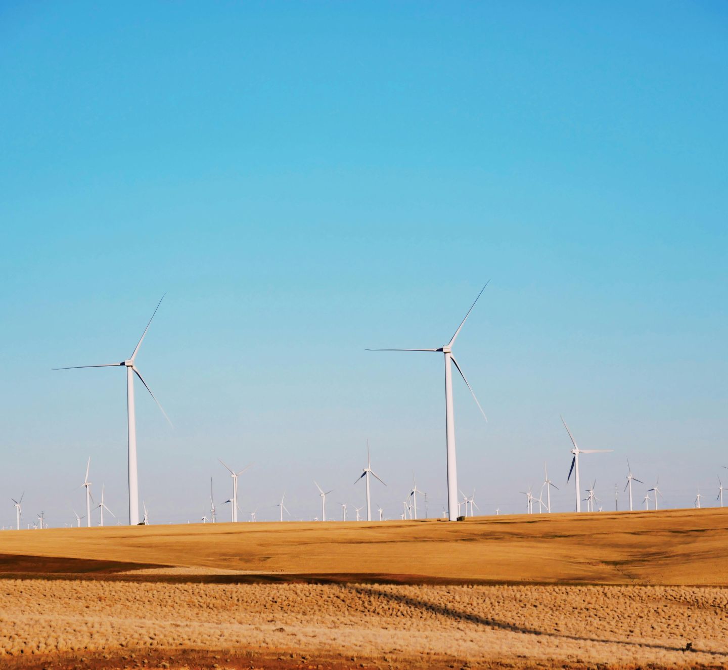 17 Goals to Rule Them All: How the SDGs Can Benefit Organisations