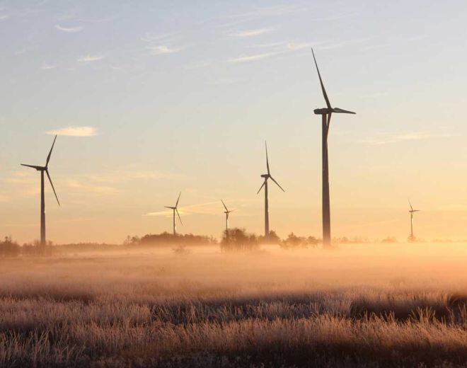 Switch On: Navigating Renewables in a Changing Market