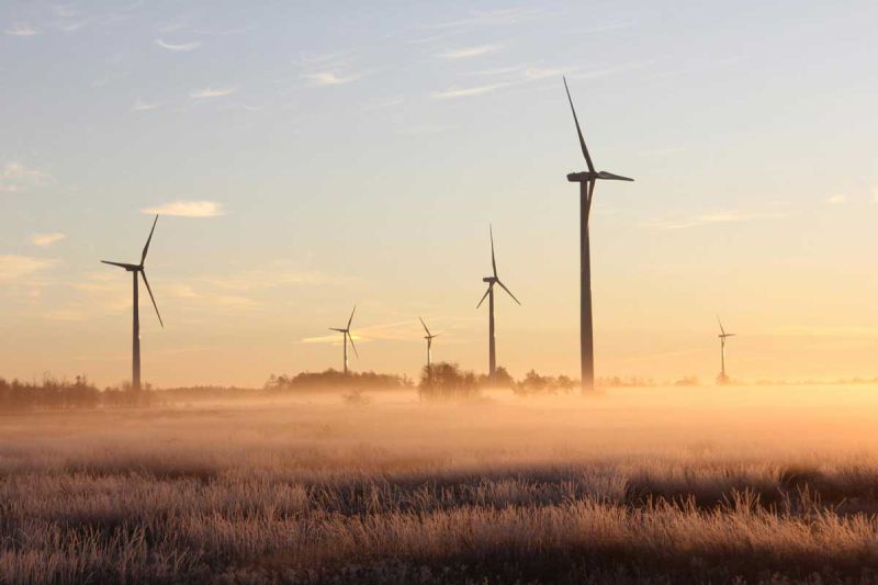 Call for renewable energy project partners to deliver social impact