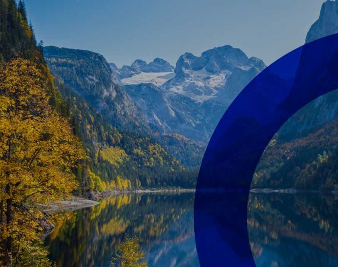 The 2025 Q3 Carbon Market Update