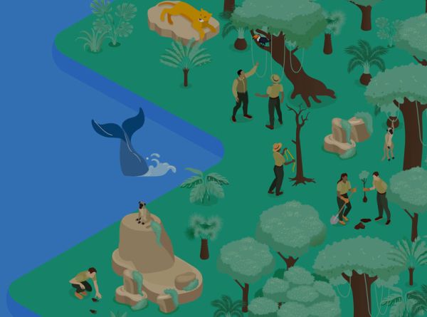 A Quick Guide to the TNFD