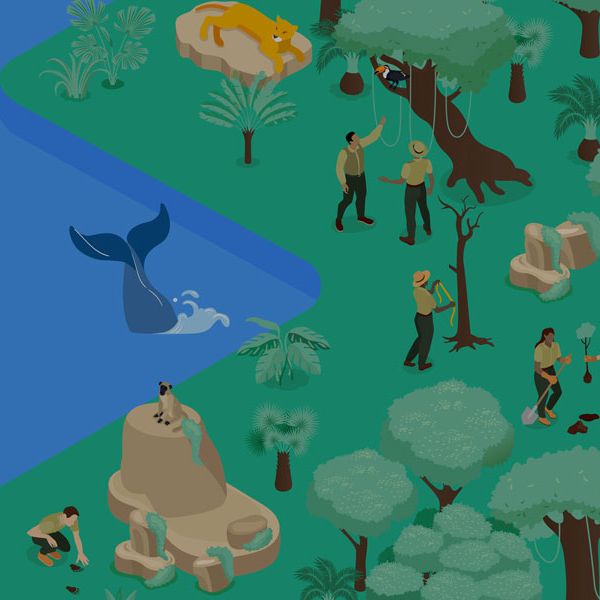 A Quick Guide to the TNFD