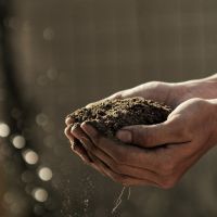 It all starts with soil: how regenerative agriculture can help curb climate change