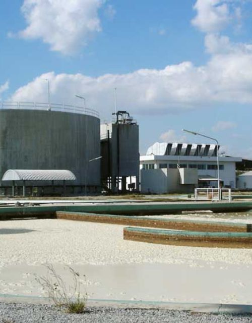 renewable-energy-biogas.jpg