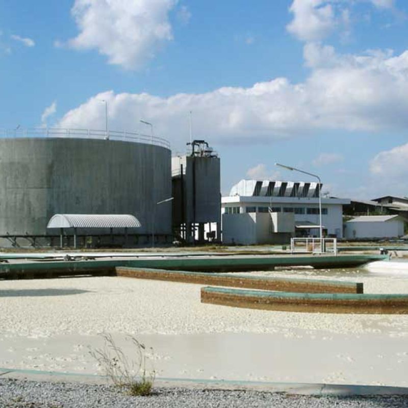 renewable energy biogas