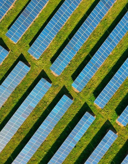 Five business reasons to switch to renewable energy today