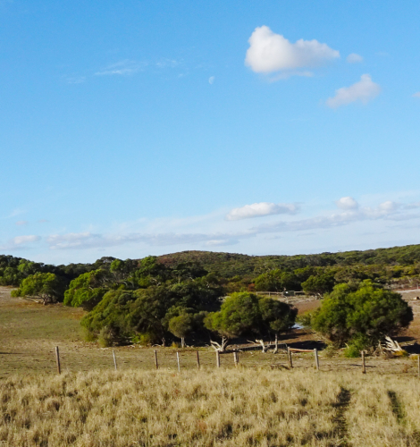 Mount Sandy Conservation
