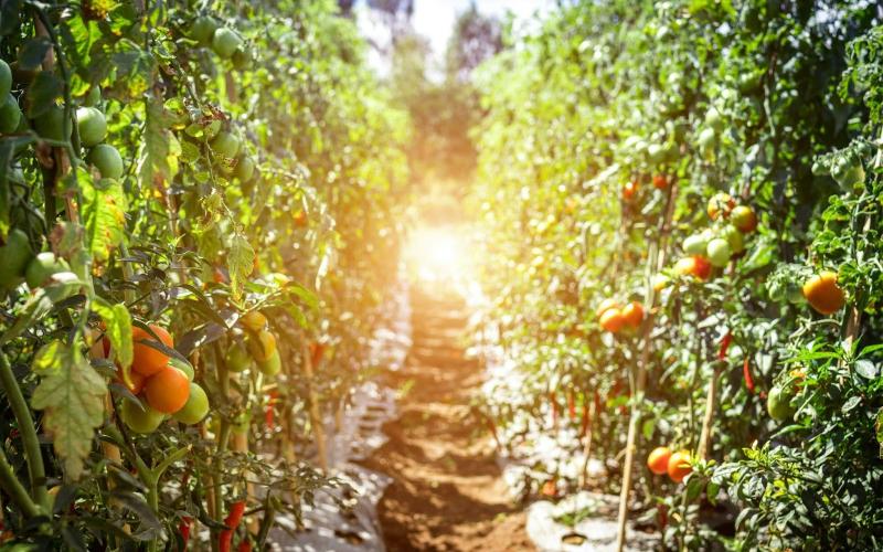 Adoption of the next set of methodologies