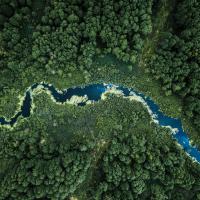 SBTi Corporate Net-Zero Standard V2.0: Top questions by C-suites answered