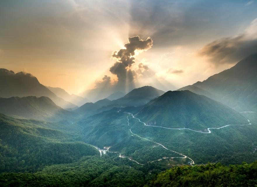 Is reporting on carbon opportunity costs mandatory?