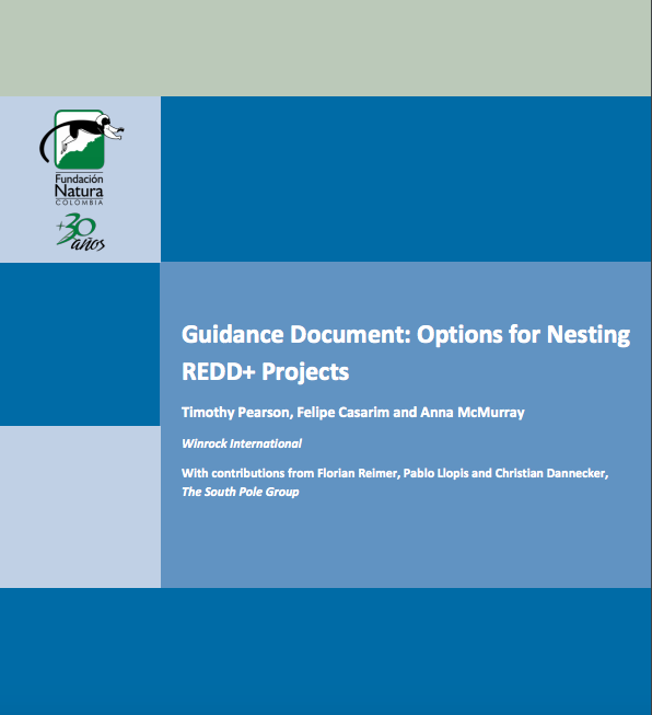 Released: New Guidance for Nesting REDD+ Projects
