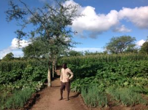 Zimbabwe’s REDD+ project: Ensuring food security amid drought