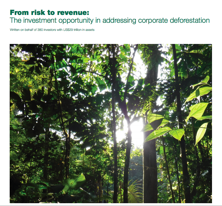 New report: 'Investment returns at risk, as many corporates fail to tackle deforestation'