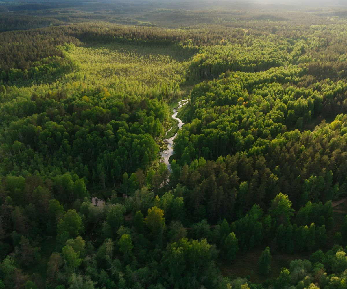 Scrutiny of the voluntary carbon market is critical - but that’s no excuse for corporate complacency