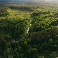 Scrutiny of the voluntary carbon market is critical - but that’s no excuse for corporate complacency