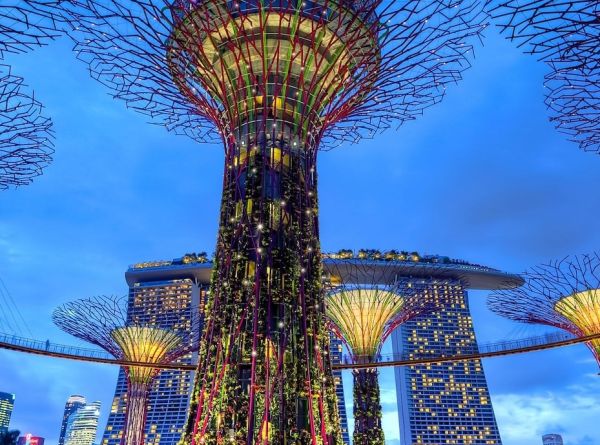 The Asia Centre of Carbon Excellence