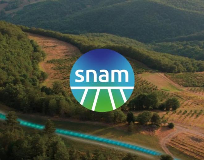 Developing a climate transition plan & integrated biodiversity strategies to drive net zero for Snam