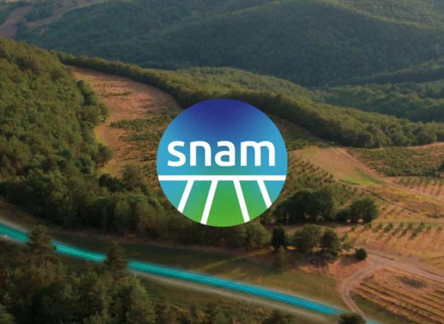 Developing a climate transition plan & integrated biodiversity strategies to drive net zero for Snam