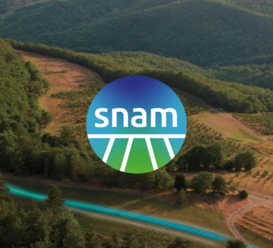 Developing a climate transition plan & integrated biodiversity strategies to drive net zero for Snam