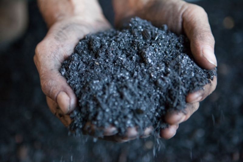 South Pole and Carbonfuture partner to scale up biochar projects with digitised monitoring and reporting