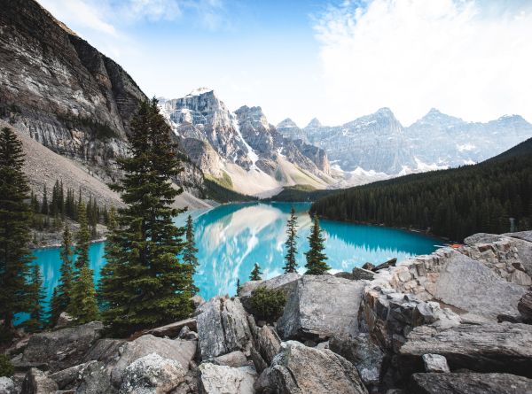 South Pole joins the Carbon Business Council as Cornerstone Member to accelerate carbon removal & support community building