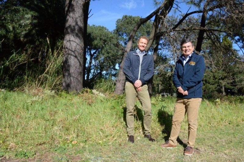 South Pole partners with Landcare NSW to develop and deliver nature-based climate change mitigation and biodiversity projects in New South Wales