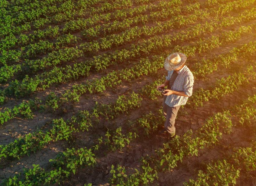 Strengthen resilience across operations and value chain