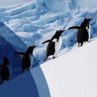 South Pole Rapport de durabilit&eacute;