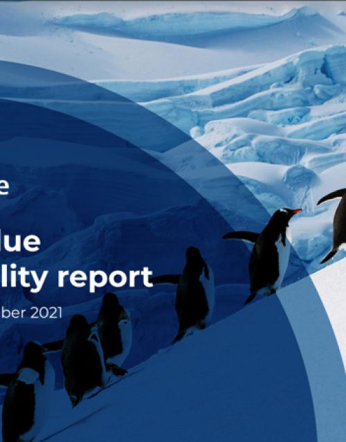 sustainability-report-2021.jpg