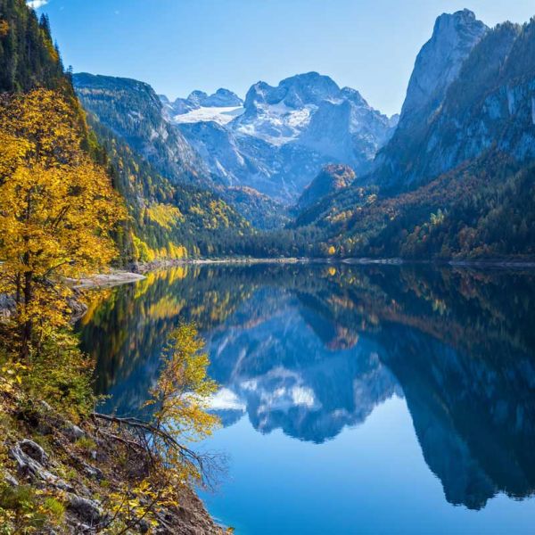 Get in touch with our experts