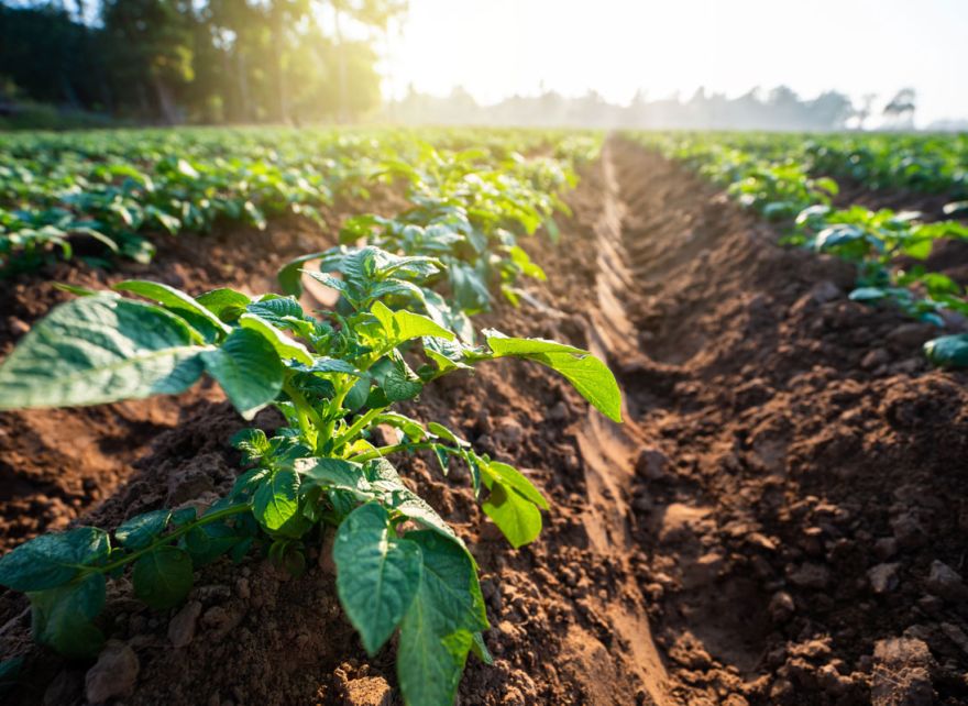 Would you consider a Book and Claim the same as a Supply Shed approach?