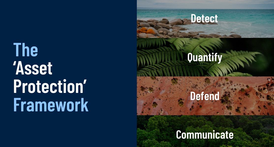 The Asset Protection Framework