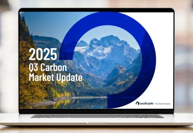 The 2025 Q3 Carbon Market Update