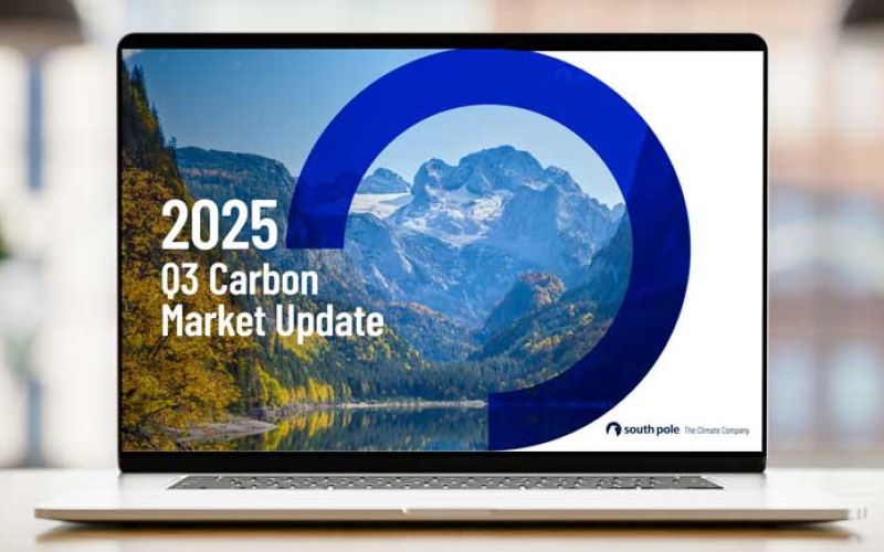 The 2025 Q3 Carbon Market Update