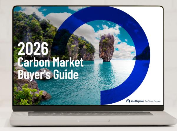 Le guide de l'acheteur du march&eacute; du carbone 2026