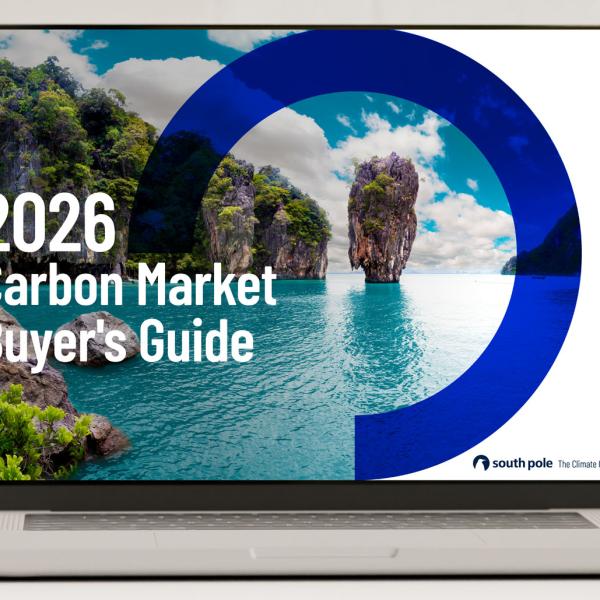2026 Carbon Market Buyer’s Guide