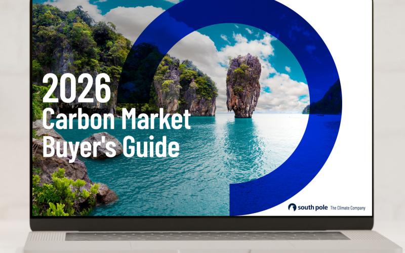 2026 Carbon Market Buyer’s Guide