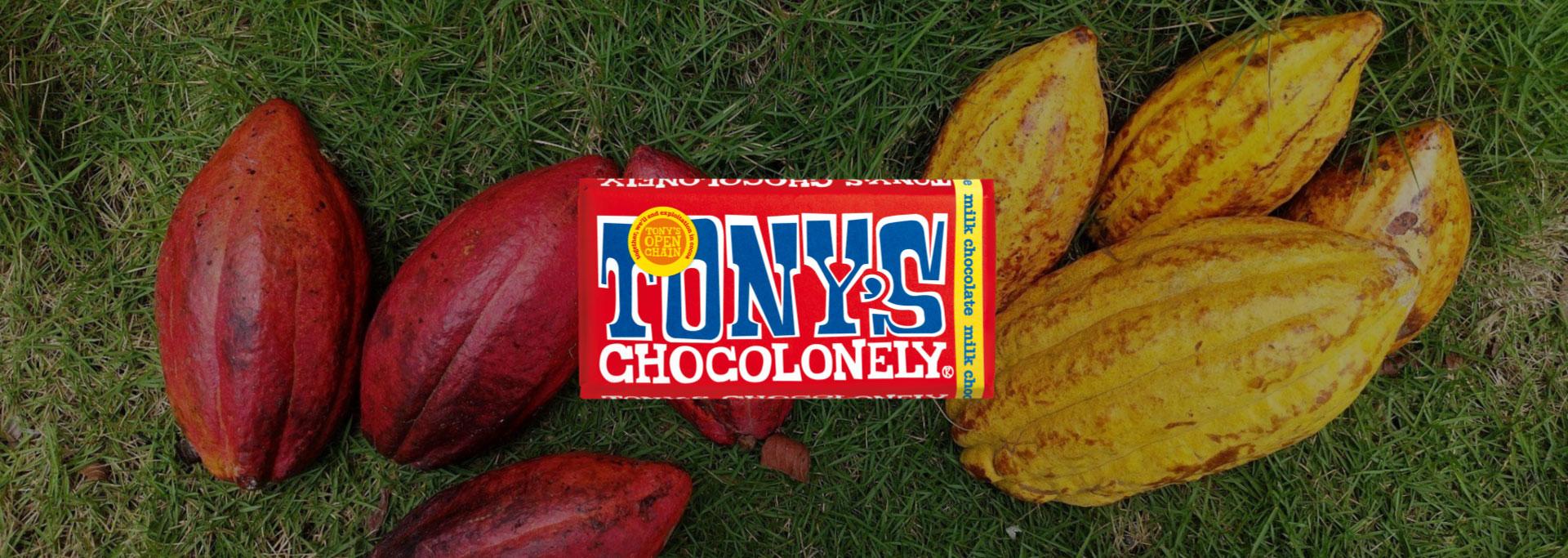 Tony's Chocolonely Case Study
