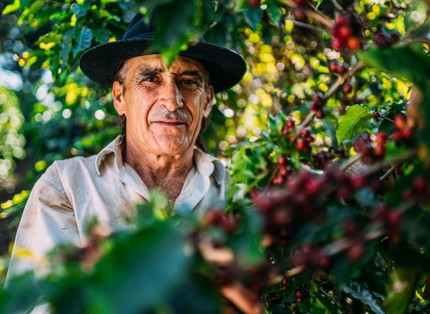 Tailoring approaches for different farm archetypes