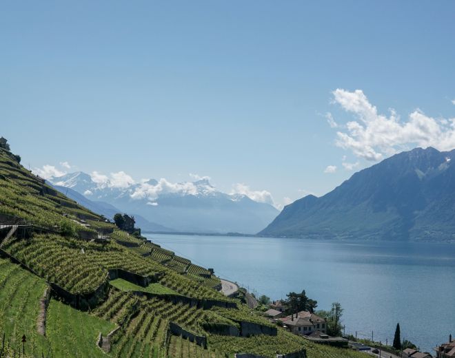 Understanding Supply Chain Risks in Europe