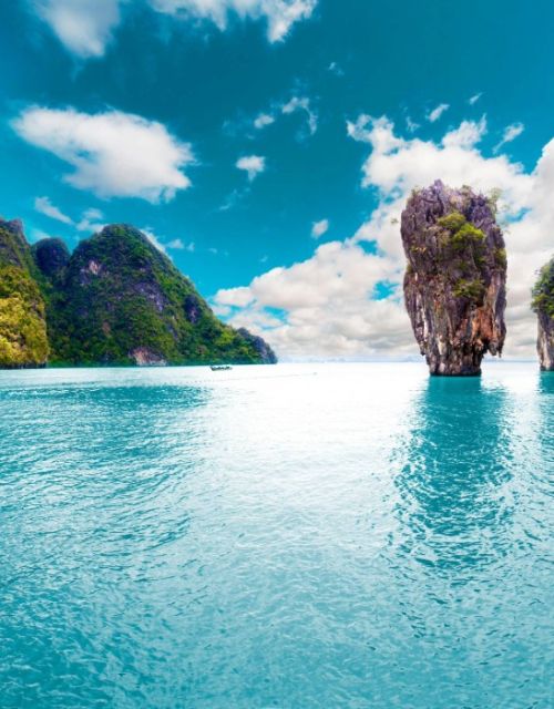 South Pole launches guide to navigate carbon market shifts and net zero in 2026